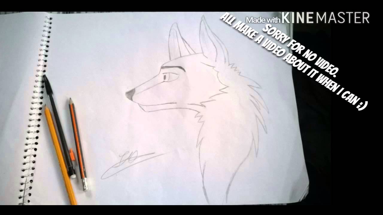 1280x720 Furry Wolf Drawing - Furry Wolf Drawing
