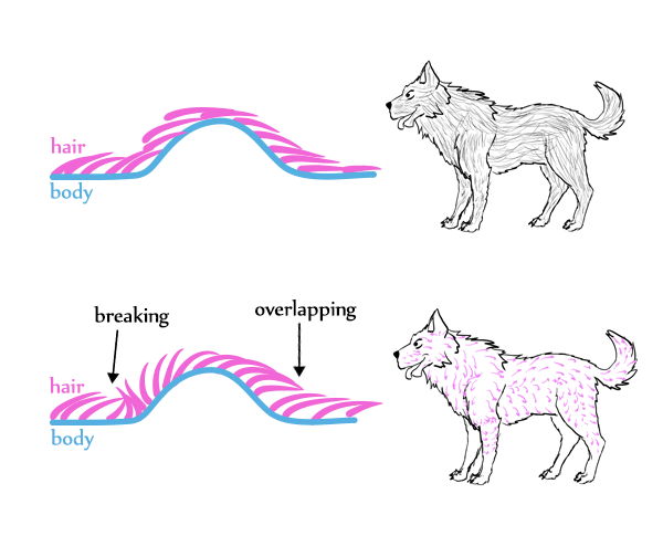 600x485 How To Draw Animals Quickly Render Fur - Furry Wolf Drawing