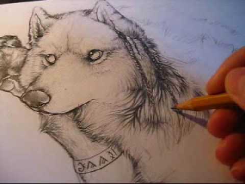 480x360 anthro wolf draw fur with pencil - Furry Wolf Drawing