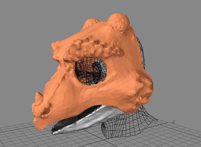 694x509 Easy Masks To Draw Fursuit Or Puppet Head Base Version Dragon - Fursuit Drawing Base