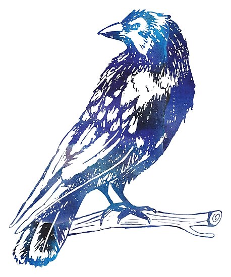 458x550 Galaxy Watercolor Raven Drawing Posters - Galaxy Drawing