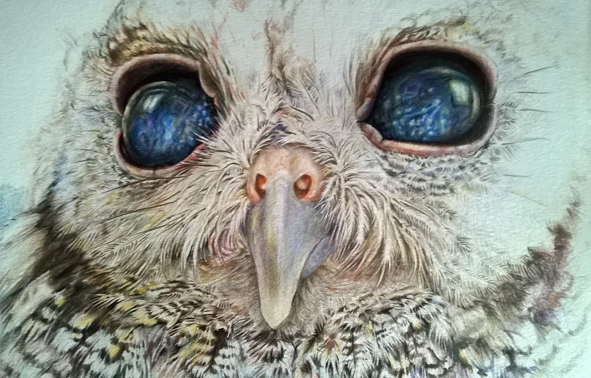 2048x1310 Drawing Eyes And Feathers With Colored Pencils Steemit - Galaxy Eye Drawing
