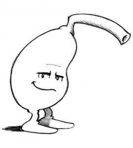 270x300 Variform Ouchies! - Gallbladder Drawing