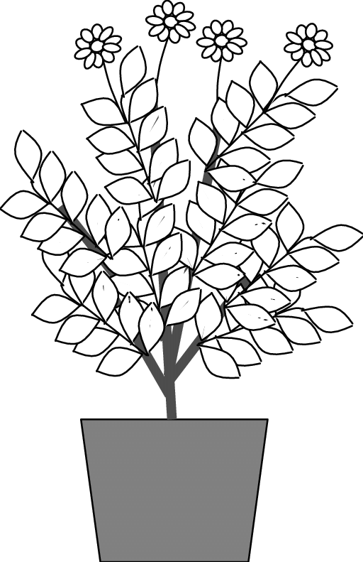 512x791 fig schematic drawing of a brittlebush in a gallon - Gallon Drawing