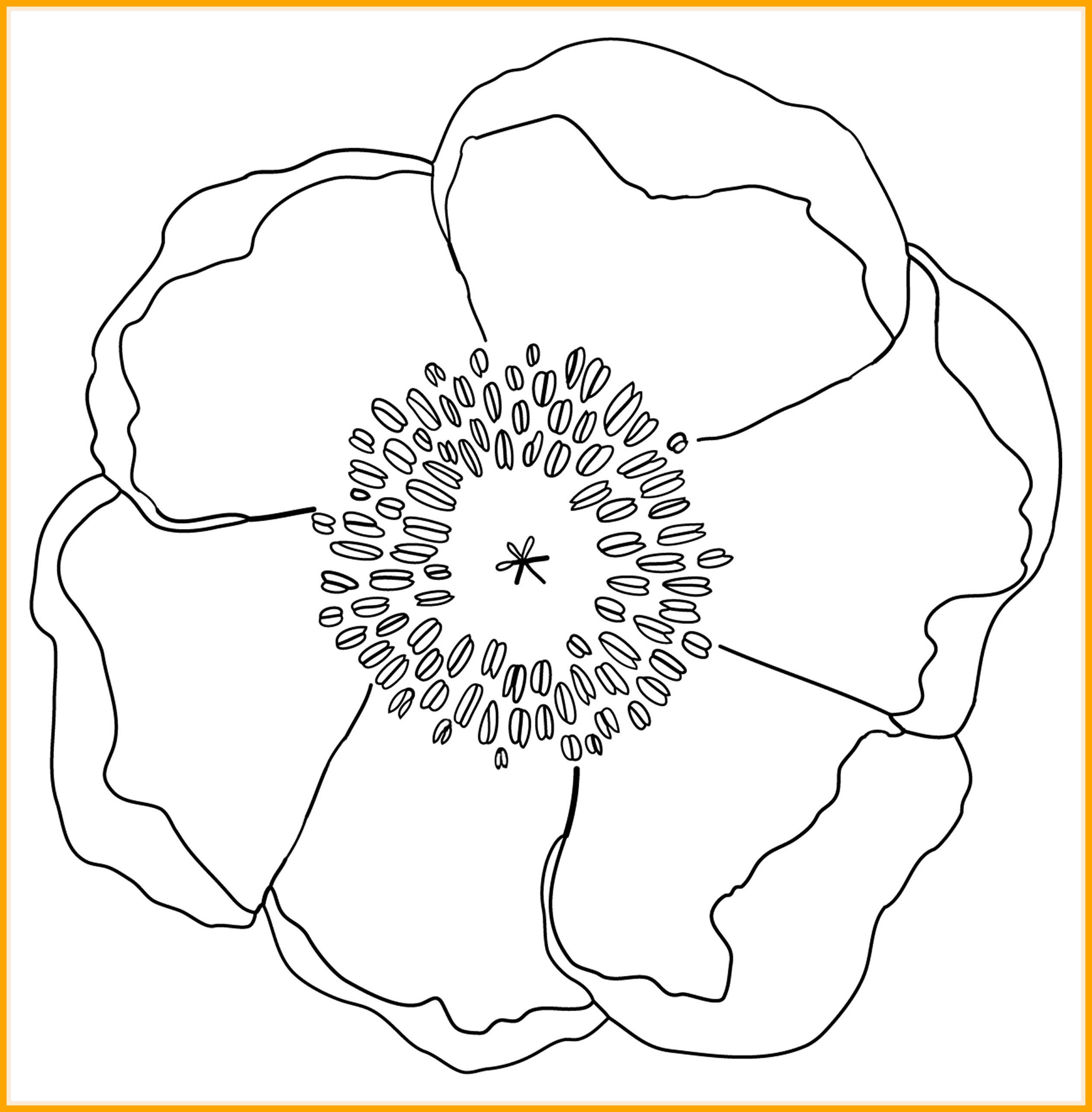 2530x2576 Gandhi Drawing Outline Step - Gandhi Drawing Outline