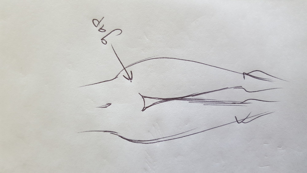 1000x563 yeah, but the thigh gap is the gap between - Gap Drawing