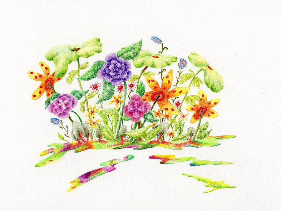 900x676 Fairy Garden Drawing - Garden Drawing