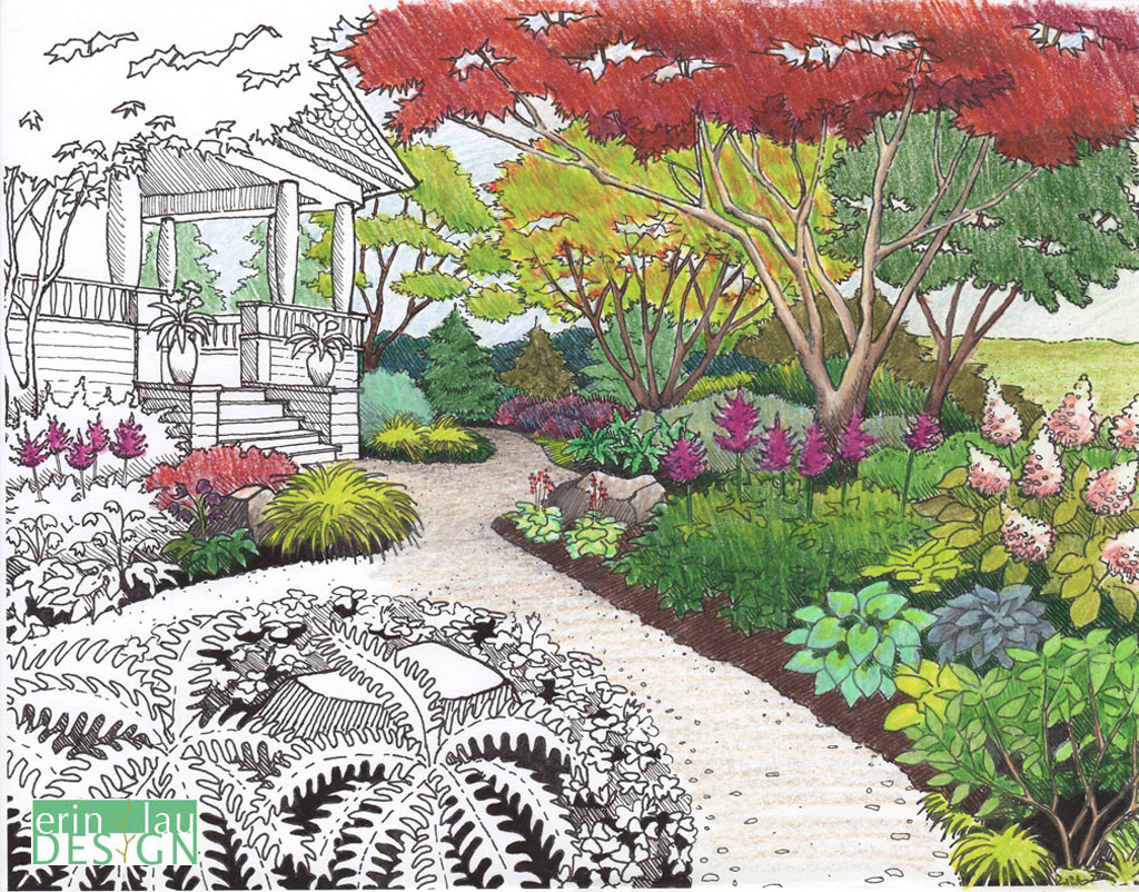 1024x802 Garden Drawing Details Drawntogarden - Garden Drawing