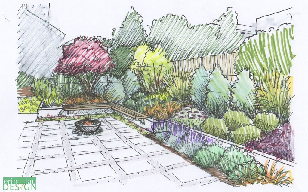 1024x640 Garden Drawing, Pencil, Sketch, Colorful, Realistic Art Images - Garden Drawing Pictures