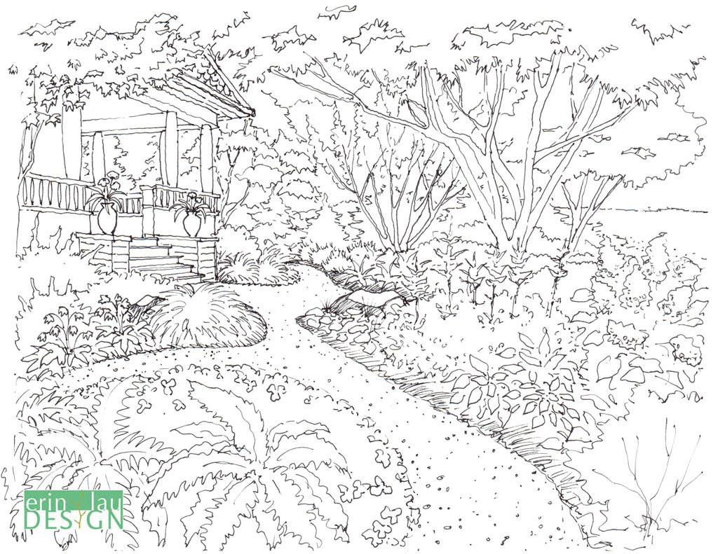 1024x791 Garden Drawing Details Drawntogarden - Garden Drawing Pictures