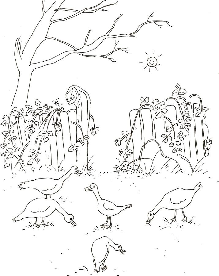 715x900 Geese In The Garden Drawing - Garden Drawing Pictures