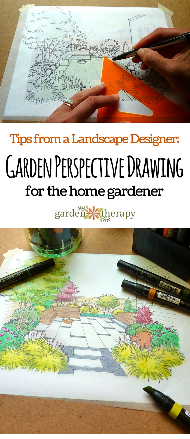 650x1500 Tips From A Landscape Designer Garden Perspective Drawing - Garden Drawing Pictures