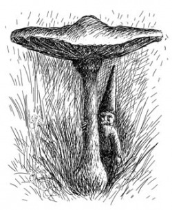 250x306 Gnome Mythology Wiki Fandom Powered - Garden Gnome Drawing