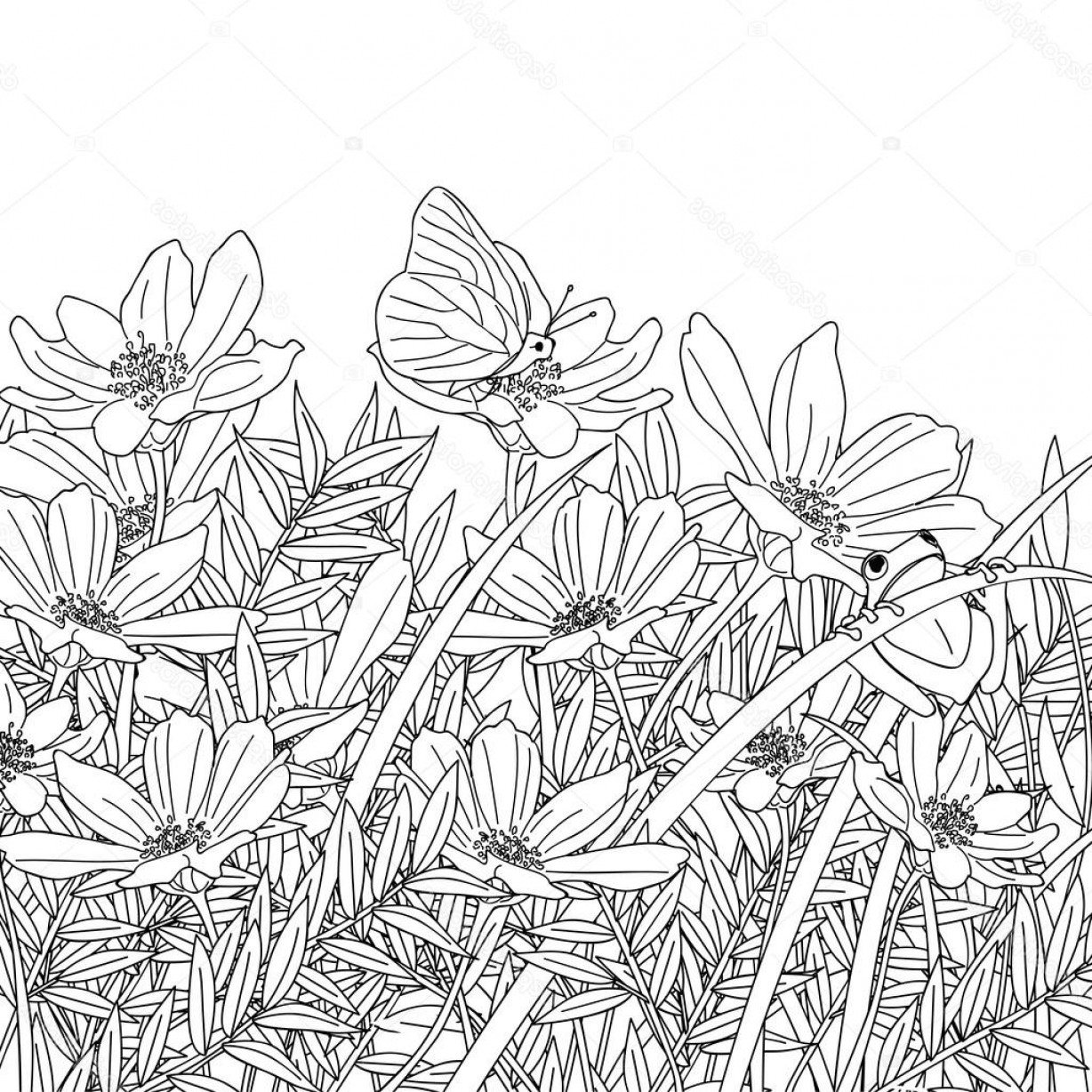 Garden Line Drawing at Explore collection of