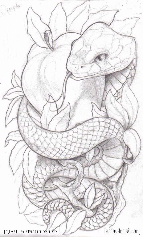 464x768 Snake Apple Garden Of Eden Adam Eve Pencil Drawing - Garden Of Eden Drawing