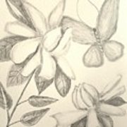 180x180 gardenia drawing drawing - Gardenia Drawing