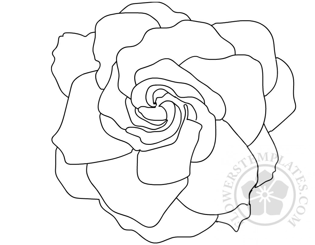 Gardenia Drawing at Explore collection of Gardenia