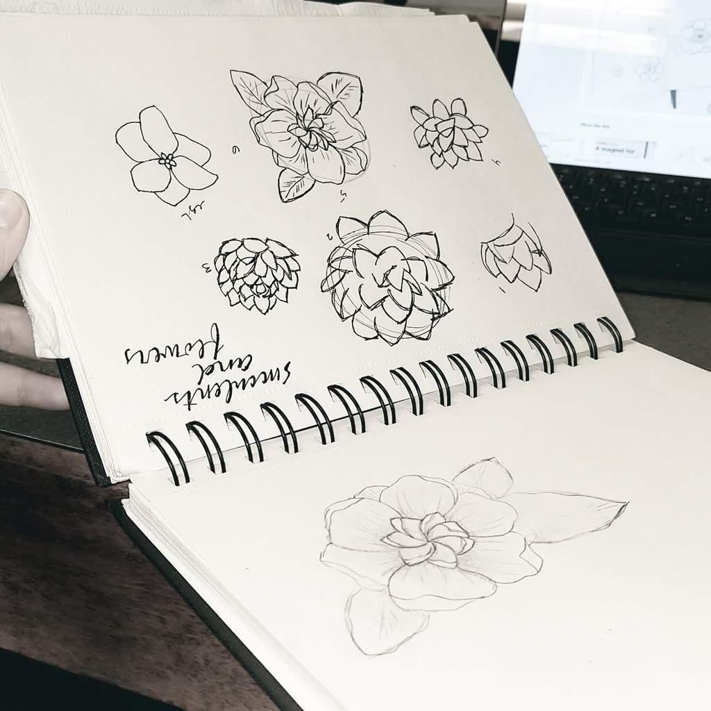 1024x1024 gardenia doodles and drawings amino - Gardenia Drawing