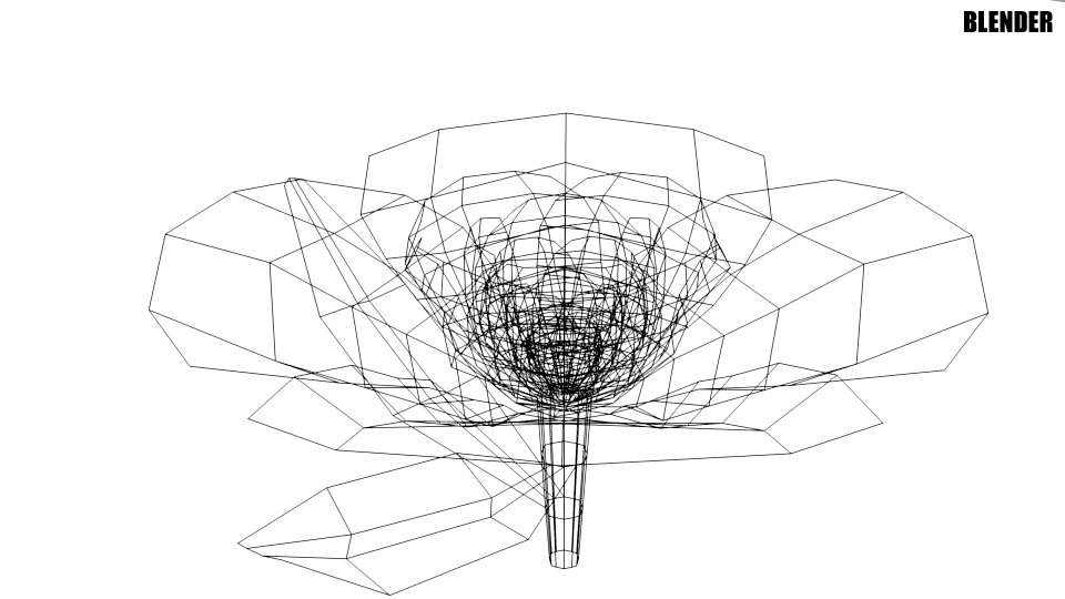 960x540 gardenia flower model - Gardenia Flower Drawing