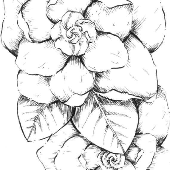 570x570 hand drawn letter g gardenia floral letter instant etsy - Gardenia Flower Drawing