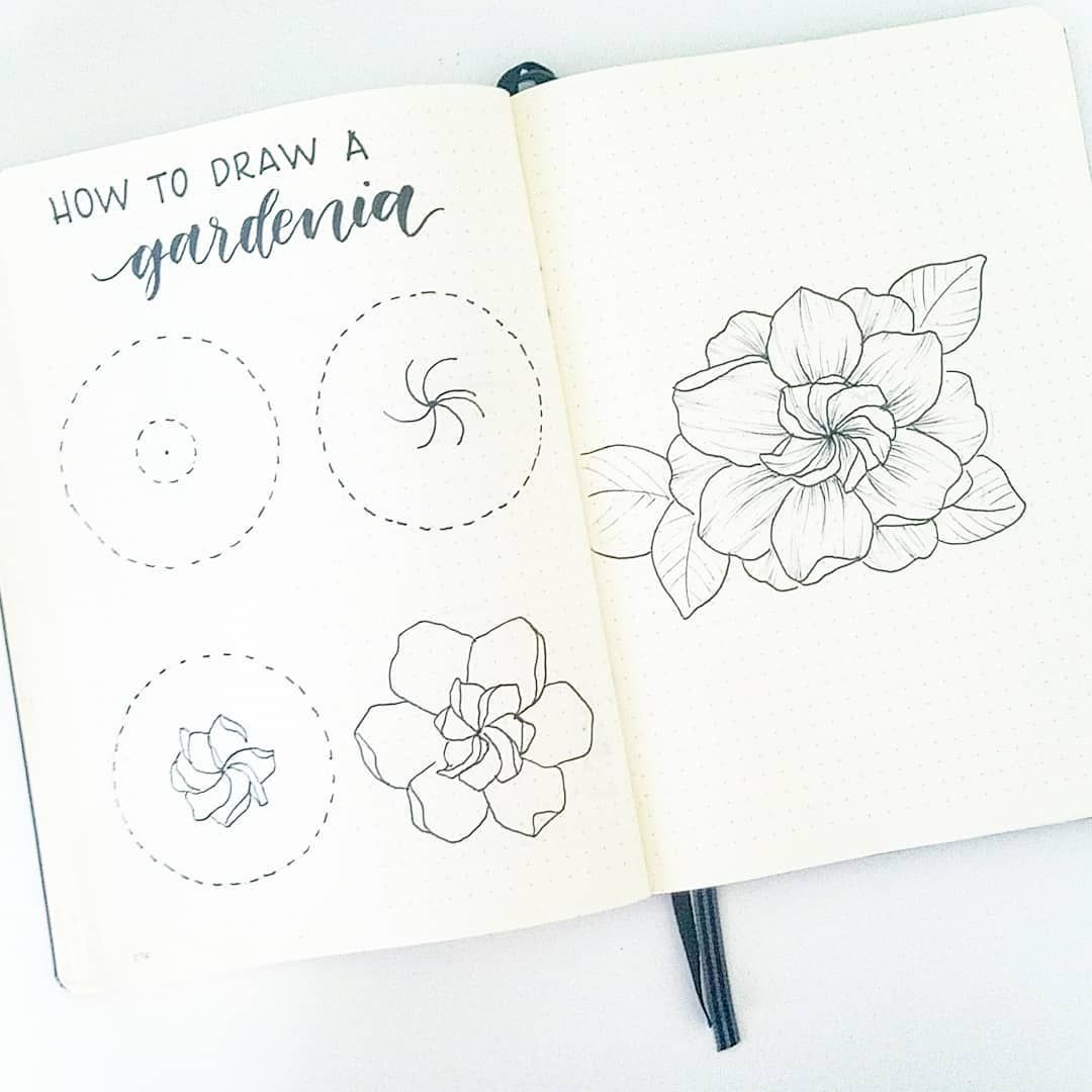 1080x1080 how to draw a gardenia flower gardenias have always looked like - Gardenia Flower Drawing