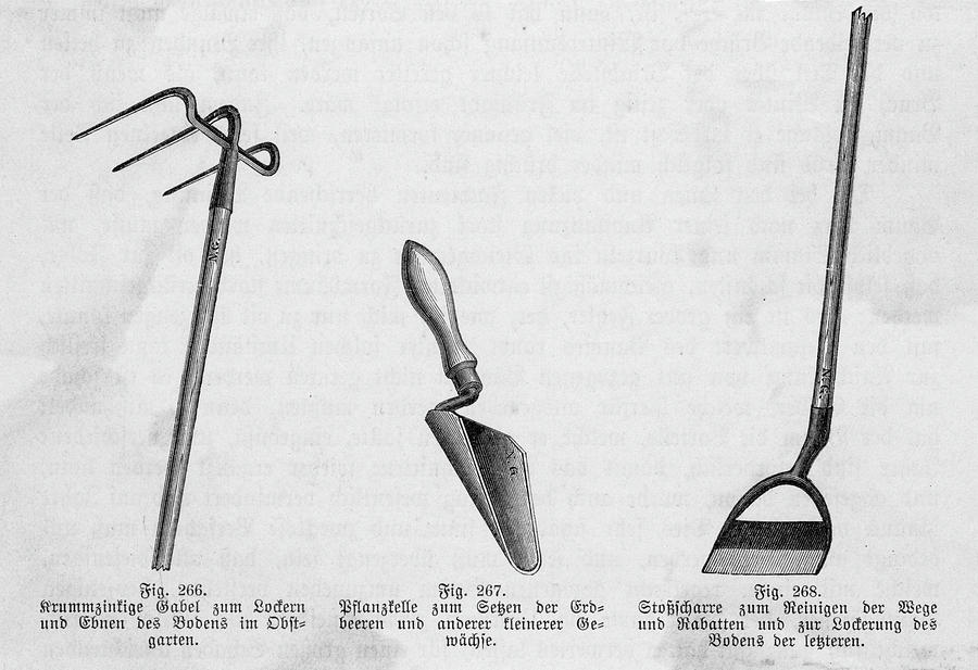 900x617 gardening tools - Gardening Tools Drawing