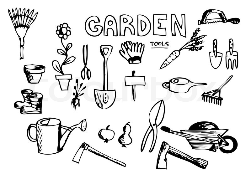 800x572 hand drawn garden tools isolated on stock vector colourbox - Gardening Tools Drawing
