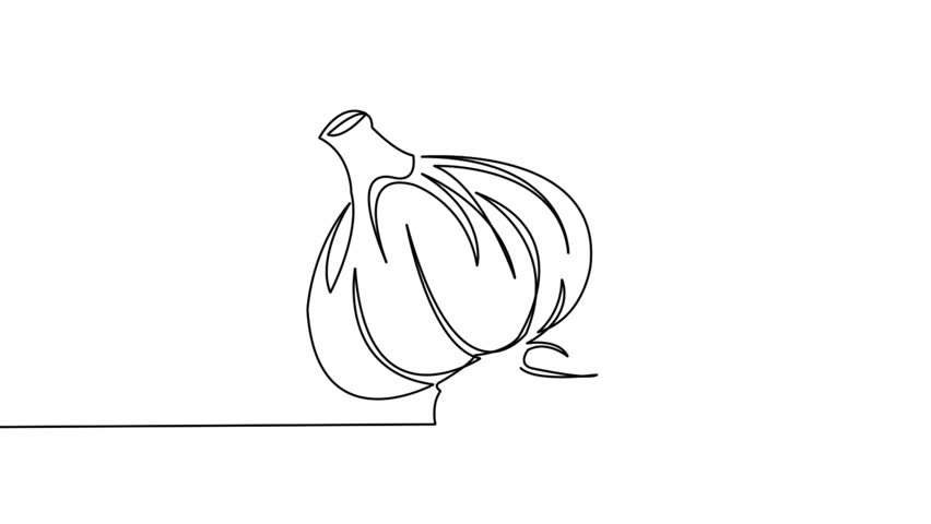 852x480 garlic line drawing stock video footage - Garlic Drawing
