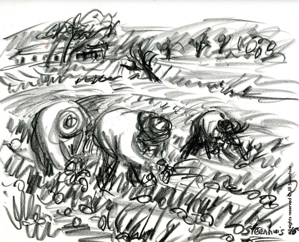 1200x972 harvesting the garlic in les milles - Garlic Drawing