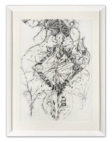 375x477 wild garlic drawing - Garlic Drawing