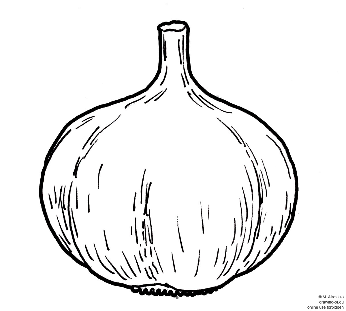 1200x1081 drawing of garlic drawing of eu - Garlic Drawing