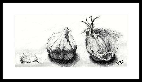 600x347 garlic drawing framed print - Garlic Drawing