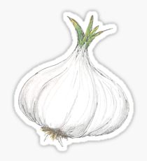 210x230 garlic drawing gifts merchandise redbubble - Garlic Drawing