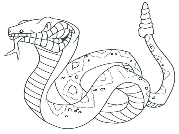 618x464 Garter Snake Drawing - Garter Snake Drawing