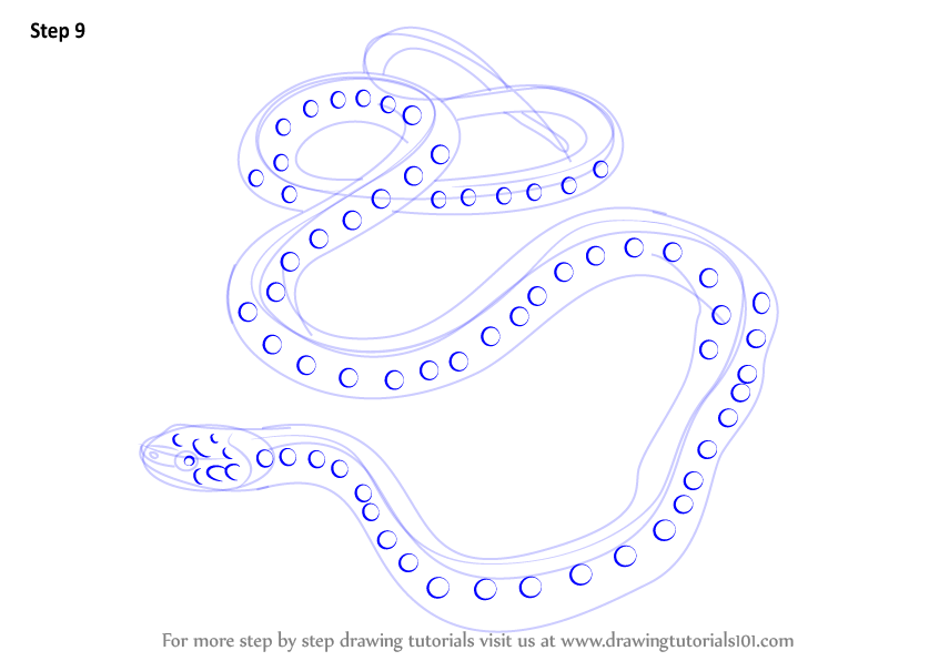 846x596 Learn How To Draw A Common Garter Snake - Garter Snake Drawing