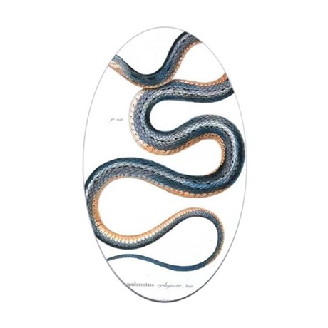 460x460 Snake Drawing Stickers - Garter Snake Drawing