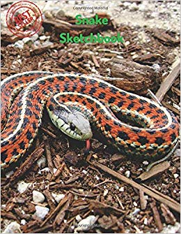 260x335 Snake Sketchbook Blank Paper For Drawing, Doodling Or Sketching - Garter Snake Drawing
