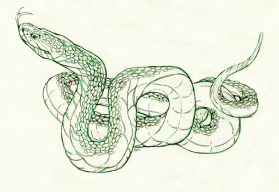 400x276 Northwestern Garter Snake Tumblr - Garter Snake Drawing