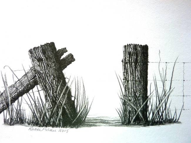 650x486 farm fence gateway pencil drawing - Gateway Drawing