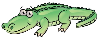 400x162 how to draw an alligator howstuffworks - Gator Drawing