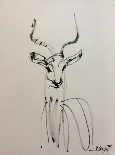 375x505 gazelle drawing - Gazelle Drawing