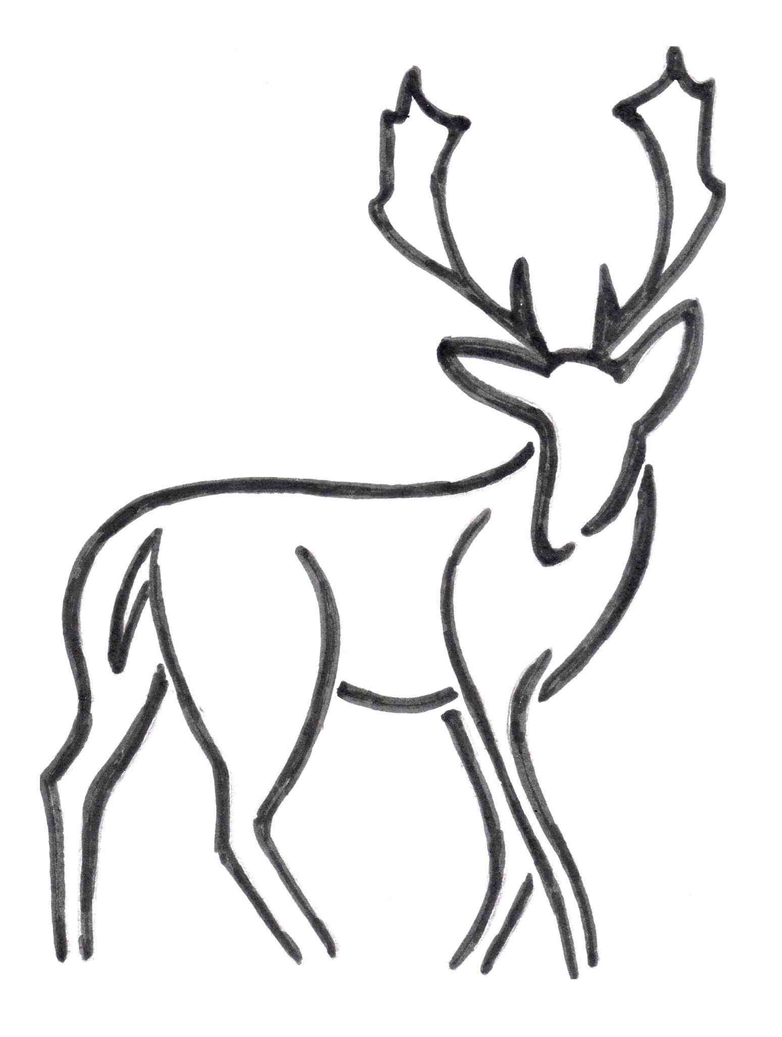 1548x2054 how to draw a gazelle step - Gazelle Drawing