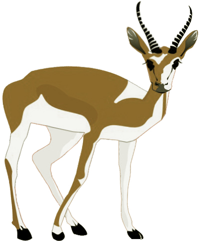 400x480 how to draw a gazelle - Gazelle Drawing