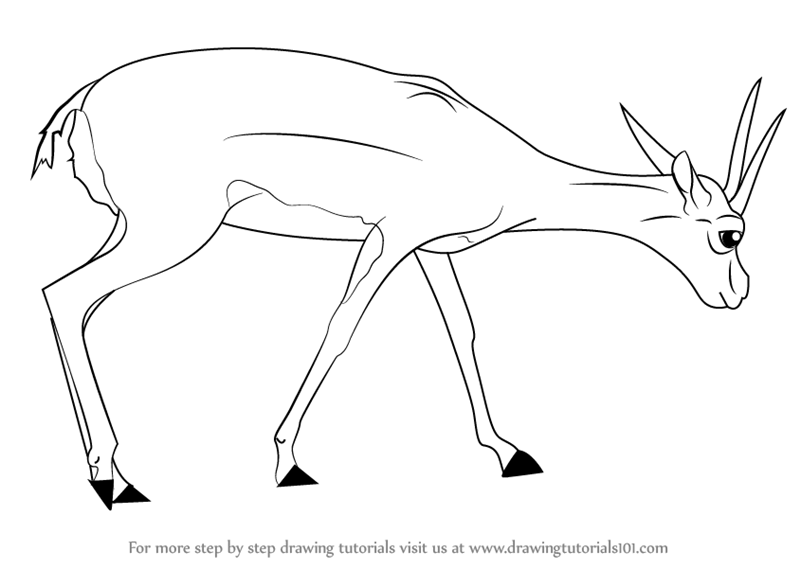 Рисунок газели животного карандашом