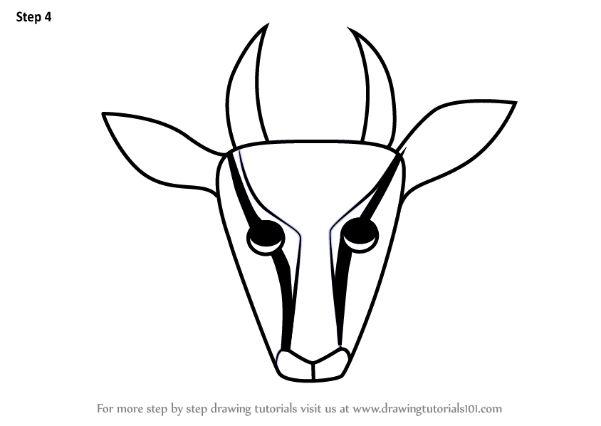844x598 learn how to draw a gazelle face for kids - Gazelle Drawing