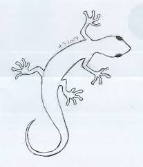 207x243 Image Result For Crested Gecko Outline Drawing Hmmm - Gecko Drawing