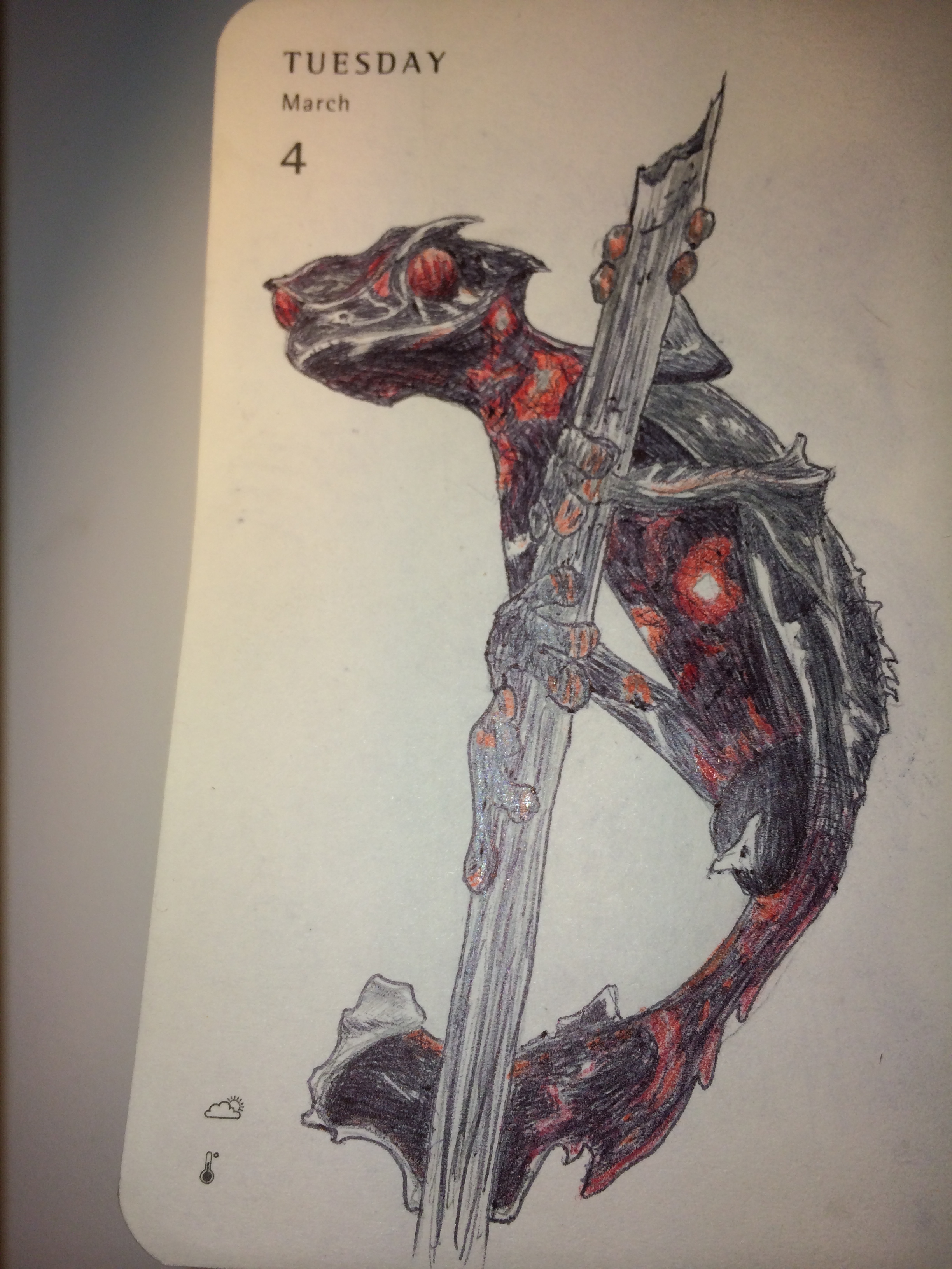 2448x3264 Mnaitodesigns Keeping It As Real As Possible, One Drawing - Gecko Drawing