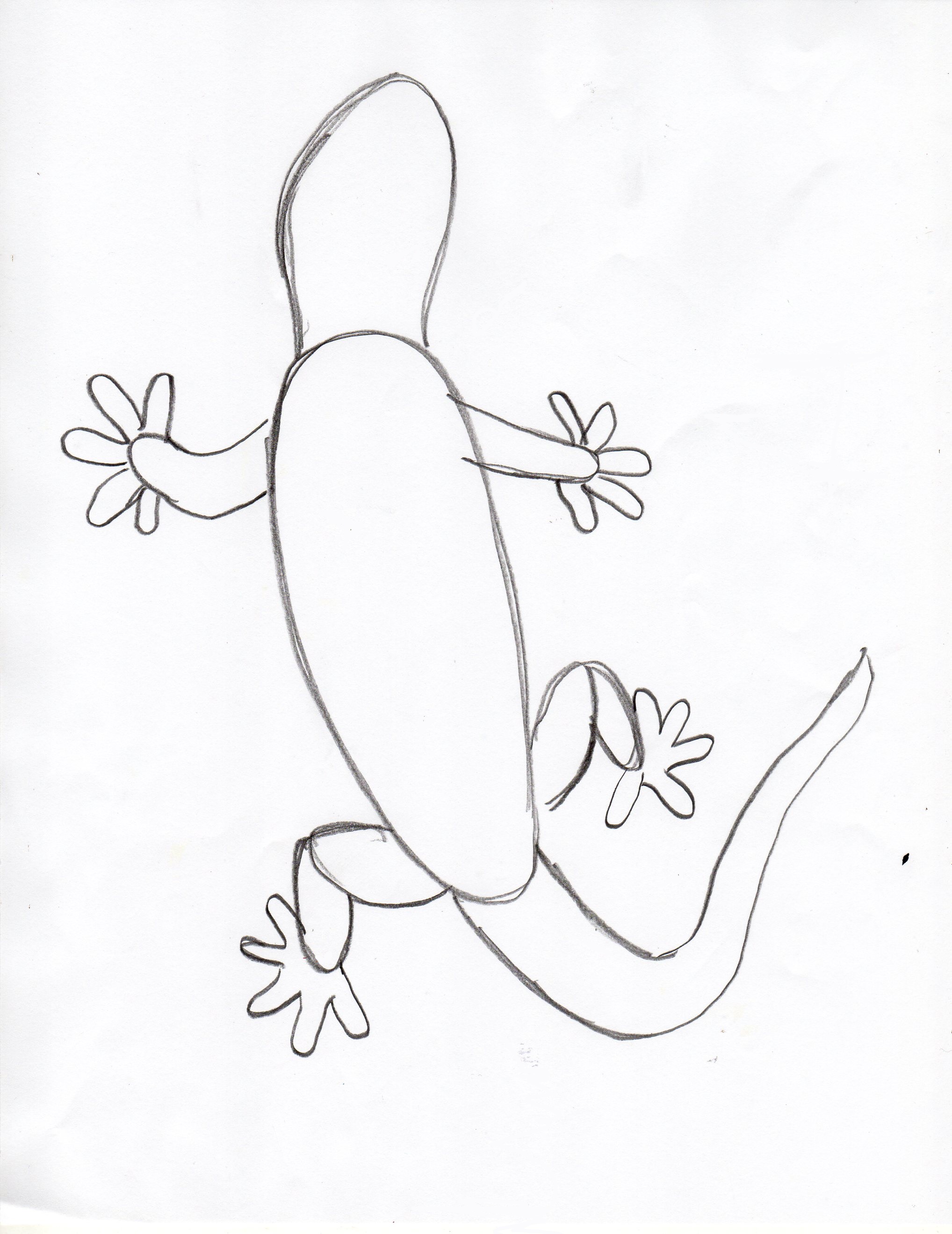 2036x2639 Draw A Gecko Step - Gecko Drawing