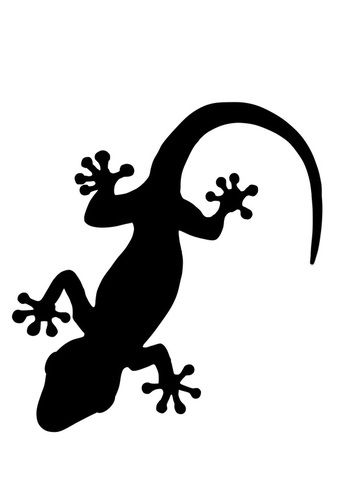 Gecko Drawing Template at PaintingValley.com | Explore collection of ...