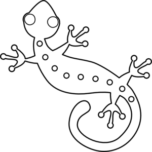 300x300 Lizard Outline Cliparts - Gecko Drawing Template